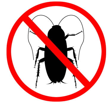cucaracha prohibida